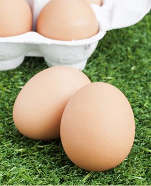 Avícola Súria S.L. huevos